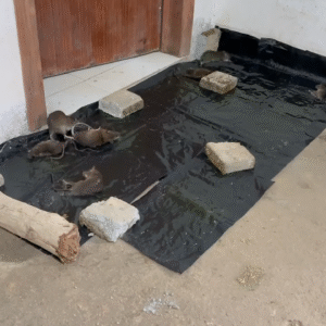 120x28cm ] effective rat killer glue mat, lizards, snakes & cockroach killer glue mats, mouse and mice trap blanket, and sticky rodent catcher sheet pest control solutions